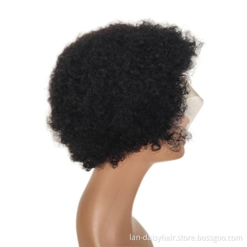 Wholesale wigs 100% human hair 10a Indian hair 13*1 Afro kinky curly lace front wig For Black Women